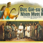 Chúa nhật XV thường niên, năm B: Các bài suy niệm & chú giải Lời Chúa