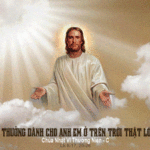 Chúa nhật VI thường niên, năm C: Các bài suy niệm & chú giải Lời Chúa