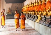 Tòa Thánh chúc mừng lễ Phật Đản