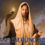 Chúa nhật XII thường niên, năm A: Các bài suy niệm & chú giải Lời Chúa