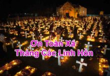 Toà Ân giải Tối cao: Sắc lệnh về việc lãnh nhận ơn Toàn xá trong tháng 11/2020