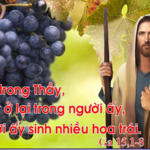 Chúa nhật V Phục Sinh, năm B: Các bài suy niệm & chú giải Lời Chúa