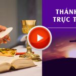 GPVO Thánh lễ trực tuyến ngày 20-6-2021: Chúa nhật XII Thường niên B lúc 6g00