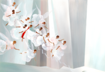 Bảy giai đoạn của lâu đài nội tâm của thánh Têrêxa Avila qua hình ảnh