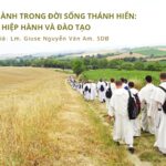 Tính hiệp hành trong đời sống thánh hiến – Hiệp hành và đào tạo