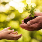 Chút tình cuối năm