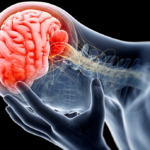 Lắp sọ để về Tết