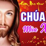 Tôi tìm gì trong năm mới này