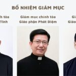 Bổ nhiệm Giám mục chính tòa các giáo phận Hà Tĩnh và Phát Diệm, Giám mục phó Giáo phận Cần Thơ