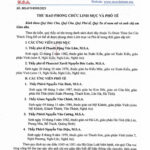 Tu đoàn Thừa Sai Các Thánh Tông Đồ: Thư rao phong chức linh mục và phó tế