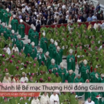 Thánh lễ bế mạc Đại hội Thượng Hội đồng Giám mục (29/10/2023)