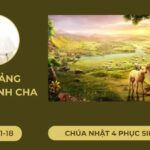 Bài giảng Đức Thánh cha – Chúa nhật 4 Phục sinh năm B
