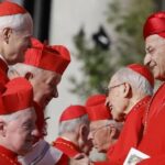 Sự ngạc nhiên của một vài tân hồng y và ý hướng của Đức Thánh cha Phanxicô