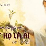 Cứ xem họ sinh hoa quả nào…