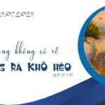 Thiếu rễ thì cây chết khô!