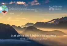 Sứ điệp Đức Thánh Cha nhân ngày Thế giới Cầu nguyện cho việc Chăm sóc Thụ tạo năm 2025: Hạt giống của Hòa bình và Hy vọng