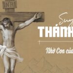 Lễ Suy Tôn Thánh Giá (14/9): Các bài suy niệm Lời Chúa