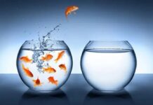 Bí quyết để tự do hơn trên mạng xã hội