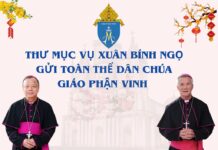 Thư Mục vụ Xuân Bính Ngọ 2026 gửi toàn thể Dân Chúa Giáo phận Vinh